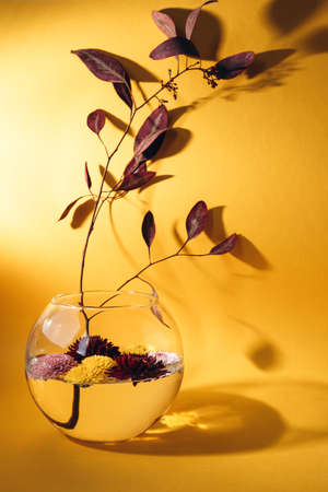 Chrysanthemums in a round vase and a branch of red eucalyptus on a yellow background with a shadow. Flat layの写真素材