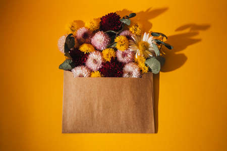 Composition with flowers. Chrysammes and eucalyptus leaves in a brown envelope on a yellow background. Flat layの写真素材