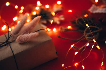 Gift decorated with dry lagurus on a red background with christmas lightsの写真素材