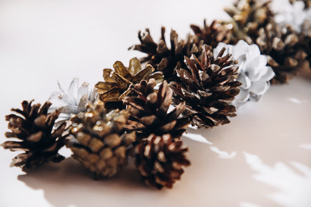 Pine cones on a light background with a shadow. Flat layの写真素材
