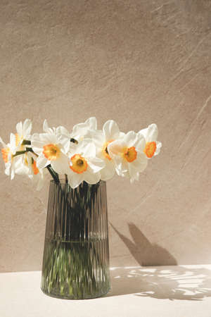 Daffodils in a glass vase with a shadow on a light beige background. Front view