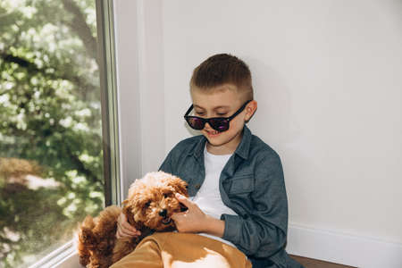 Joyful boy 6-7 years old in dark sunglasses sitting on the floor playing with a dog