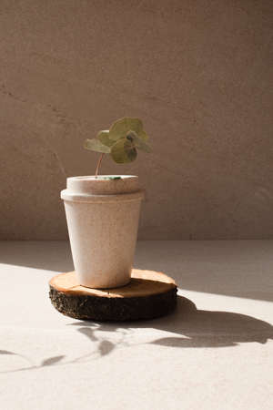 Reusable eco cup on a wooden stand on a stone beige background with a sprig of eucalyptus. Front...