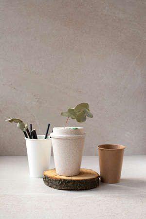 Disposable and reusable eco cups on a stone beige background with eucalyptus branches. Front view