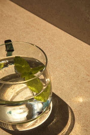 Tea with mint in a glass cup on a light stone table with with shadows. Front view, close upの写真素材