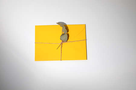 The yellow envelope is tied with a brown thread and decorated with a branch of dry eucalyptus on a...
