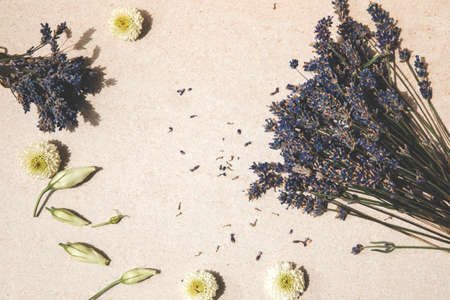 Lavender and white chrysanthemum flowers on a stone light background. Top viewの写真素材