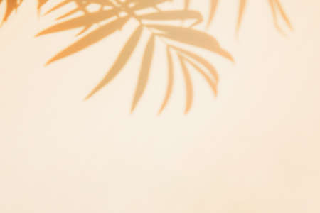 The shadow of the leaves of a tropical plant on a light peach background. Copy space, free place, top viewの写真素材