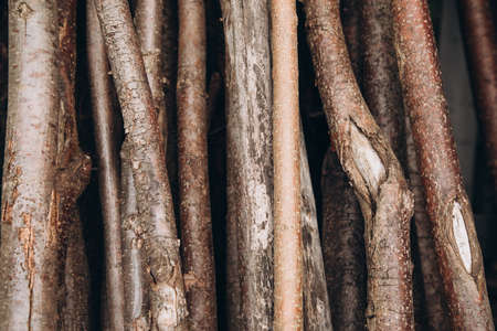 Natural background of dry brown tree branches close-up. Front viewの写真素材