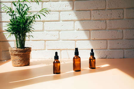 A group of amber bottles on white table with face care products. A set of cosmetics in a glass package with a house palm in the background. Front viewの写真素材
