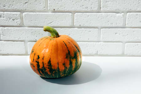 Orange pumpkin on a white table against a white brick wall background with shadow. Front viewの写真素材