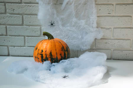Pumpkin, cobwebs with spiders on a white table against a white brick wall background. Halloween composition with shadows, front view, selective focusの写真素材