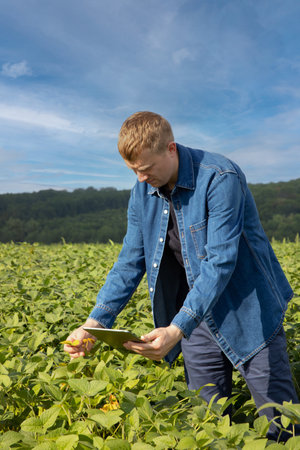 A farmer in a denim shirt with a tablet checks the quality of soybeans in an agricultural field and looks at the harvest. Front viewの写真素材