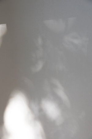 Background, light wall in decorative plaster with shadows from sunlight. Front view, copy spaceの写真素材