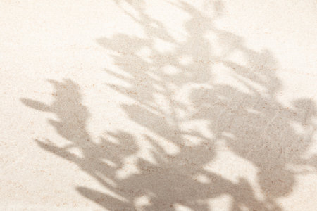 Light stone background with shadows of leafy tree branches. Top viewの写真素材