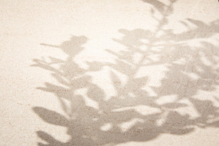 Light stone background with shadows of leafy tree branches. Top viewの写真素材