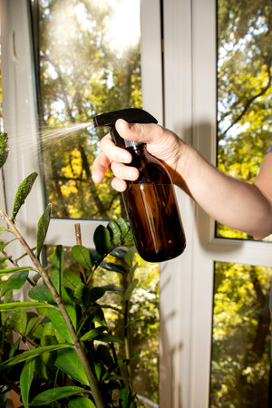 Close-up of a mans hand spraying a large vase from an amber glass sprayer on a balcony. Front view, selective focusの写真素材
