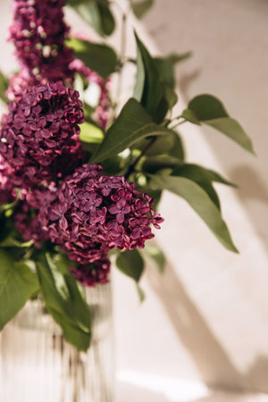 A bouquet of lilacs close up in a transparent vase on a beige background with a shadow. Front view