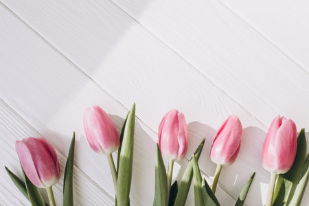 Pale pink delicate tulips on a white wooden background. Spring background with a bouquet of flowers. Top viewの写真素材