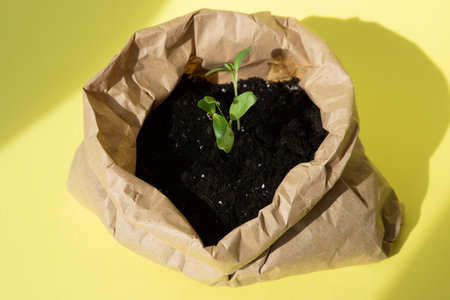 Concept of gardening. Planting vegetable seedlings. A small green plant in a brown paper bag with soil on a yellow background. Top viewの写真素材