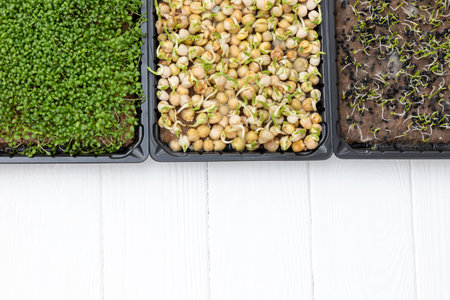 Home gardening. Greenery microgreens, sorrel, onion, peas on a linen rug on a wooden background....