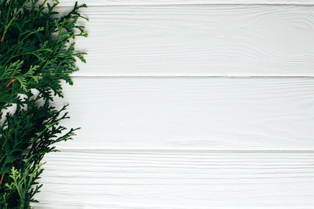 White textured wooden background with green thuja branch. Background of light wooden boards for designの写真素材