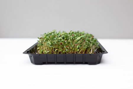 Home gardening. Greenery microgreens, flax seeds on a linen rug on a wooden table. Front viewの写真素材