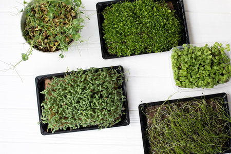 Home gardening. Greenery microgreens, flax seeds, peas on a linen rug on a wooden table. Top view
