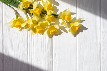 Yellow daffodils on a white wooden background in bright daylight with shadows. Natural background. Flat layの写真素材