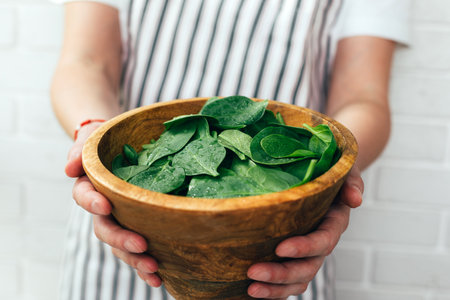 Female hands hold spinach green leaves in a wooden deep plate close-up in daylight. Front viewの写真素材