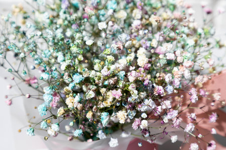 Bouquet of dry multicolored flowers close-up on a grey background. Background, pattern. Top view