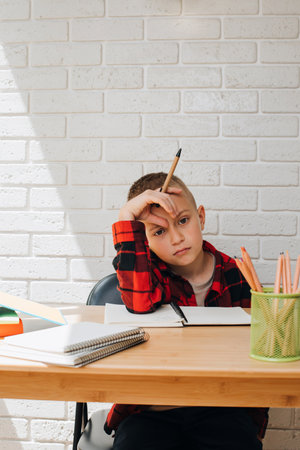 Concept back to the school. A boy in the process of studying sits at a table with books, notebooks and pencils. Front viewの写真素材