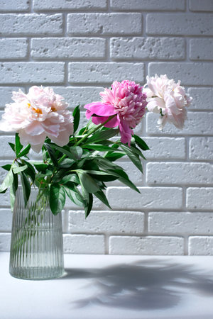 Gently pink peonies in a transparent vase against a white brick wall. Floral background. Front viewの写真素材