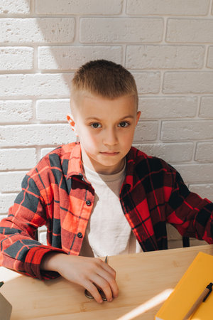 Concept back to the school. A boy in the process of studying sits at a table with books, notebooks...