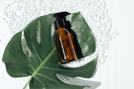 Amber bottle with facial treatment on a white little decorative stones with green leaves on backdrop. Top viewの写真素材