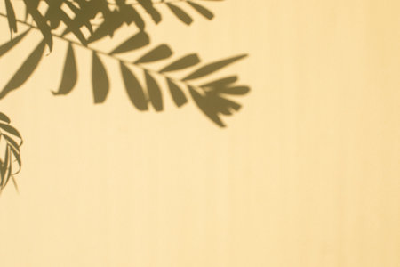 Shadows of palm tree branches on a yellow background. Natural background. Selective focusの写真素材
