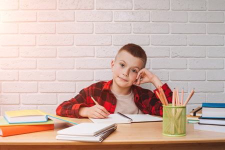Concept back to the school. A joyful smiling boy in the process of studying sits at a table with books, notebooks and pencils. Front viewの写真素材