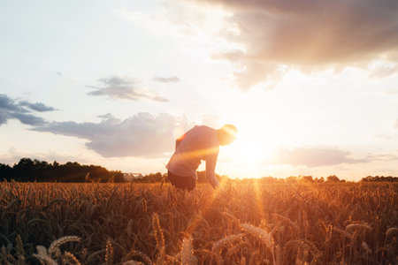 Wheat field at sunset. Agriculture concept, a farmer in the field checks the quality of the crop. Front viewの写真素材