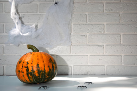 Pumpkin, cobwebs with spiders on a white table against a white brick wall background. Halloween composition with shadows, front view, selective focusの写真素材