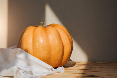 Yellow pumpkin on a light background with daylight shadow. Autumn composition. Halloween background. Front viewの写真素材