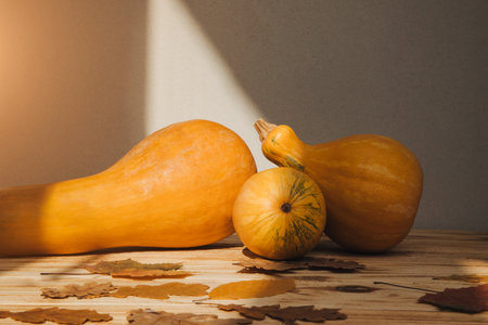 Yellow pumpkins on a light background with dry leaves. Autumn composition. Halloween background. Front viewの写真素材