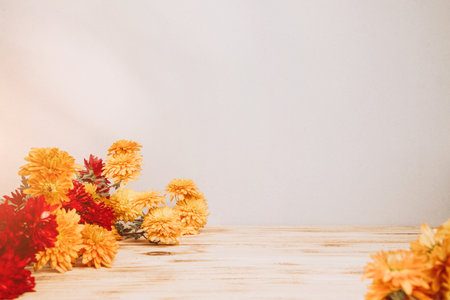 Floral background. Yellow and red chrysanthemums on a light background. A bright bouquet of autumn flowers. Front viewの写真素材