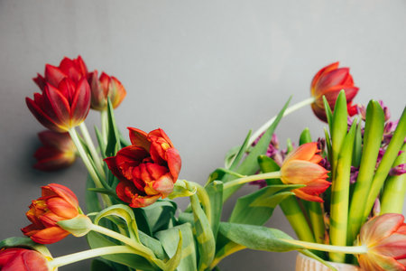 Red bouquet of tulips in a vase. Spring background with a bouquet of flowers. Front view
