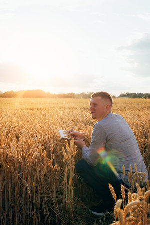 Wheat field at sunset. Agriculture concept, a farmer in the field checks the quality of the crop...
