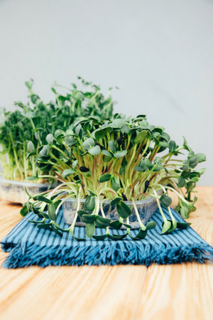 Home gardening. Greens microgreens, peas, radishes, sunflowers in plastic containers on a linen rug...