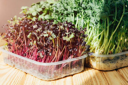 Home gardening. Greens microgreens, peas, radishes in plastic containers on a linen rug on a wooden background. Front viewの写真素材