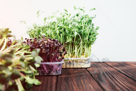 Home gardening. Greens microgreens, peas, radishes, sunflowers in plastic containers on a linen rug on a wooden background. Front viewの写真素材
