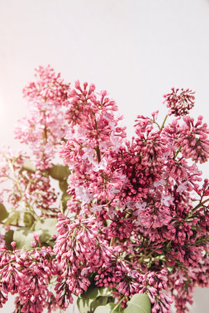 A bouquet of lilacs on a gray background with a shadow. Natural spring floral background. Front viewの写真素材