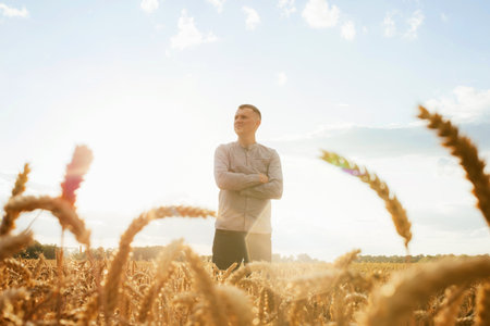 Wheat field at sunset. Agriculture concept, a farmer in the field checks the quality of the crop. Front viewの写真素材