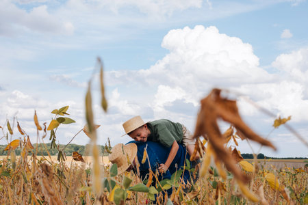 Agronomist, father and son together in agriculture field with soybeans. The man and sun have fun. Quality control of crops. Front viewの写真素材